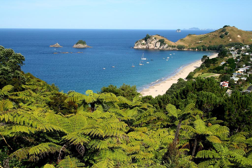 Hahei Beach Escape Exteriör bild